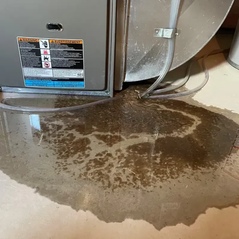 Appliance Leak Cleanup in Tamaqua, PA